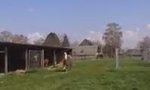Movie : Happy Lama
