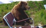 Movie : Begegnung mit einem Bär
