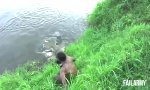 Movie : Close Call Compilation