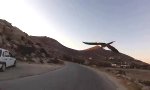 Papagei Fly-By