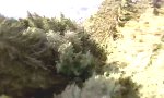 Movie : Wingsuit Tiefflieger