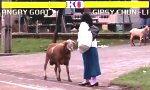 Street Fighter - Angry Goat Edition