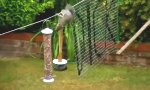 Funny Video : Hörnchenkurs