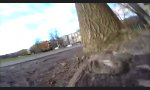 Eichhörnchen klaut GoPro