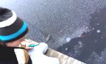 Lustiges Video - Feuerwerks-Torpedo