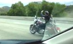 Movie : Gassigehen auf der Harley