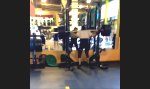 Lustiges Video : Neulich im Fitnessstudio