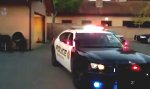 Polizeiwelpe