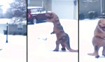 Funny Video : Dino beim Schneeschippen