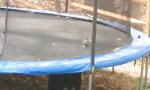 Lustiges Video - Hund gibt Trampolin-Starthilfe an Taube 
