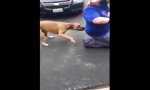 Lustiges Video : Mann findet seinen Hund nach 2 Jahren wieder