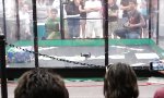 Battle Bot Highlights