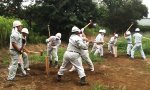 Lustiges Video : Professionelles Japan