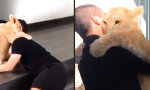 Lustiges Video : Hugs of Love