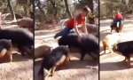 Movie : Schweinereiten