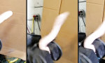 Lustiges Video - Dildo Gone Wild