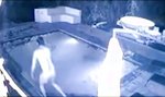 Lustiges Video - Überraschung  im Swimming Pool