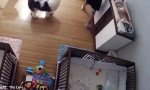 Funny Video - Ninja am Wickeltisch