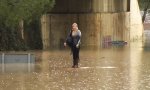 Funny Video - Verirrt in den Fluten