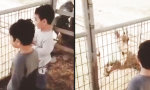 Lustiges Video : Köpfchen muss man haben