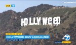 Lustiges Video - Hollyweed