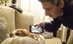 Lustiges Video - So stoppt man jedes Schnarchen