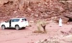 Funny Video : Baumstumpf entfernen in der Wüste