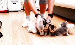 Movie : Kein einfacher Auftrag