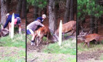 Funny Video - 2 Bauern, 2 Hirsche