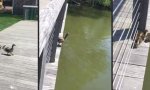 Funny Video : Endlich angekommen