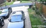 Funny Video : Monstersprung eines Rehs