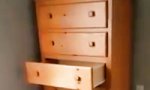 Movie : Katze spielt Verstecken