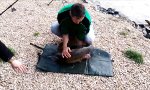 Funny Video : Karpfen macht sich aus dem Staub