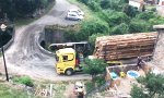 Funny Video : Holztransport Like a Boss