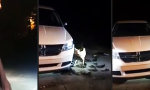 Katze versteckt sich vor Pitbull unter’m Auto
