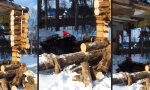 Funny Video - Idiot der Woche