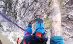 Funny Video - Kletterpartie mit dem Vierbeiner