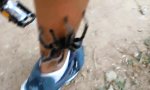 Movie : Krabbelige Begegnung beim Mountainbiking