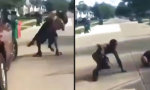 Funny Video : Spontaner Body Slam