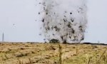 Movie : Heuwirbel