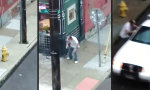 Funny Video : Schöner Trip mit Selbstentsorgung