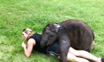 Funny Video - Kuschelfant