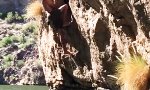 Lustiges Video : Anwärter für den Darwin Award