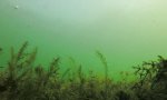 Funny Video : Unter-Wasser-Drone