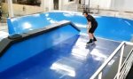 Movie : Die Skater-Welle