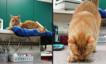 Lustiges Video - Die volle Dröhnung!