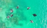 Movie : Gruppentanz unter Mantas