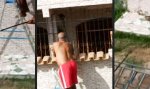 Lustiges Video - Opossum passt das gar nicht!