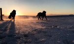 Movie : Prächtige Bilder aus Island