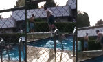 Movie : Backflip vom 1er
